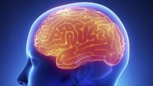 Leia mais sobre o artigo 6 Hábitos Comuns Que Reduzem o Seu QI Todos Os Dias