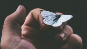 Leia mais sobre o artigo Leia Essa Carta De Quem, Lá Do Céu, Cuida De Você