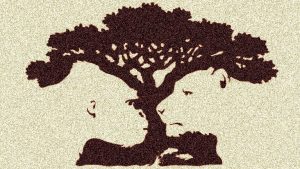 Leia mais sobre o artigo Qual é a Figura Que Você Vê Primeiro? O Que Você Vê Descreve Sua Personalidade