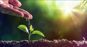 Leia mais sobre o artigo Como começar uma nova vida a partir do zero: 3 etapas que ajudarão na mudança