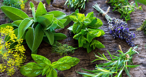 Leia mais sobre o artigo ▷ Sonhar Com Ervas【Tudo o que você precisa saber】