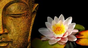 Leia mais sobre o artigo Uma Estratégia Budista Para Lidar Com o Medo e a Raiva