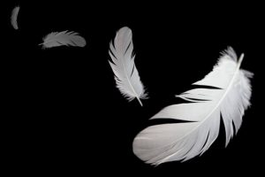 Leia mais sobre o artigo 5 Significados Espirituais De Ver Penas No Nosso Caminho