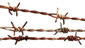 Leia mais sobre o artigo ▷ O Que Significa Sonhar Com Arame Farpado?