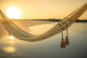 Leia mais sobre o artigo ▷ Sonhar Com Rede 【10 Significados Reveladores】