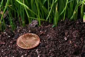 Leia mais sobre o artigo Descubra Como Ativar a Boa Sorte Usando Apenas Uma Moeda