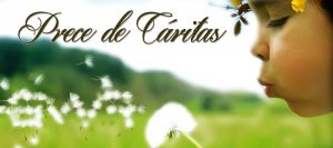 Leia mais sobre o artigo ▷ Prece De Cáritas Para Realizar Todos os Seus Desejos