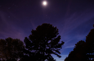 Leia mais sobre o artigo ▷ 25 Recados De Boa Noite Para Enviar Para Pessoas Especiais