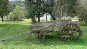 Leia mais sobre o artigo ▷ Sonhar Com Carroça 【6 Significados Reveladores】