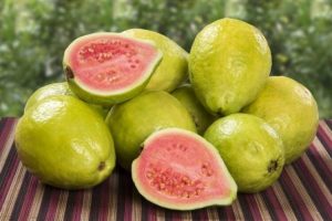 Leia mais sobre o artigo ▷ Sonhar Com Goiaba 【14 Significados Impressionantes】