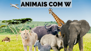 Leia mais sobre o artigo ▷ Animais Com W 【Lista Completa】