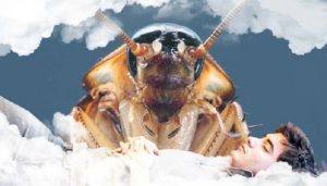 Leia mais sobre o artigo ▷ Baratas: Você conhece o Significado Espiritual delas?