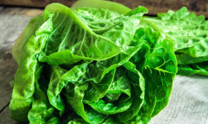 Leia mais sobre o artigo ▷ Sonhar Com Alface 【O significado é impressionante】