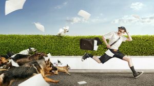 Leia mais sobre o artigo ▷ Sonhar Com Cachorro Correndo Atrás De Mim 【7 Significados】