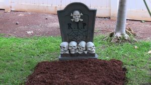 Leia mais sobre o artigo ▷ Sonhar Com Cova 【Significa notícias ruins?】