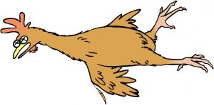 Leia mais sobre o artigo ▷ Sonhar Com Galinha Morta 【O significado vai te surpreender】