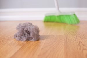 Leia mais sobre o artigo ▷ Sonhar Com Sujeira – Indica Notícias Ruins?