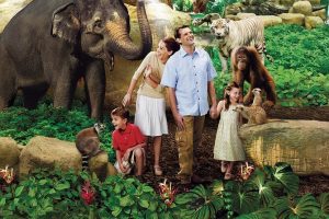 Leia mais sobre o artigo ▷ Sonhar Com Zoológico 【É mau presságio?】