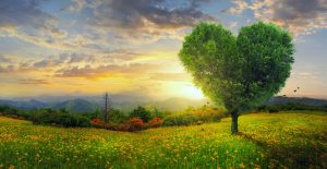 Leia mais sobre o artigo ▷ 12 Poesias Sobre Amor – Seu amor merece receber essa declaração especial