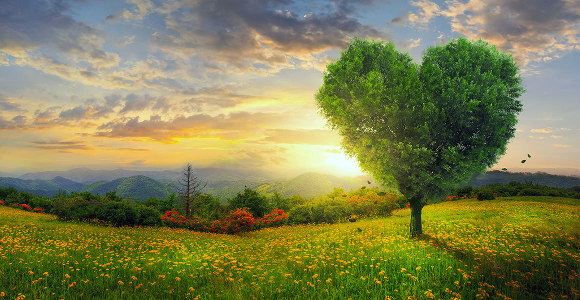 No momento, você está visualizando ▷ 12 Poesias Sobre Amor – Seu amor merece receber essa declaração especial