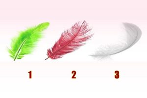 Leia mais sobre o artigo Escolha uma pena de anjo e receba um conselho valioso