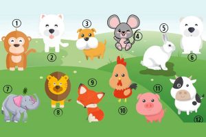 Leia mais sobre o artigo Qual é o seu animal favorito? Descubra o que ele revela sobre você!