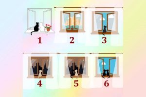 Leia mais sobre o artigo Qual janela você escolhe? Ela irá te mostrar o que realmente é bom para você hoje!