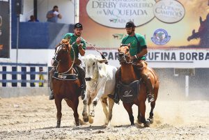 Leia mais sobre o artigo ▷ 47 Frases De Vaquejada Que Você Precisar Ver 🐄