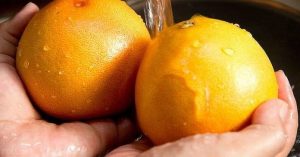 Leia mais sobre o artigo Revitalize e Energize Sua Casa Seguindo Estas Dicas Do Feng Shui