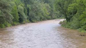 Leia mais sobre o artigo ▷ Sonhar Com Rio De Água Suja é Mau Presságio?