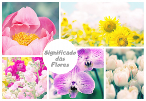 Read more about the article ▷ Qual o Significado Das Flores? Você vai se surpreender!