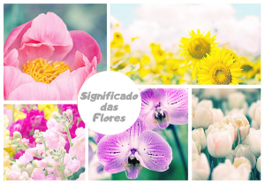 Leia mais sobre o artigo ▷ Qual o Significado Das Flores? Você vai se surpreender!