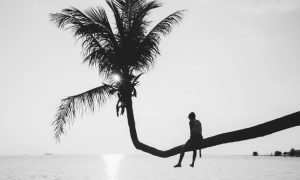 Leia mais sobre o artigo ▷ Status De Solteira – 78 Frases Que Você Deveria Usar