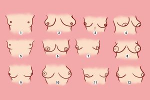 Read more about the article Teste: Qual o formato do seu peito? A natureza de uma mulher depende do formato do peito!