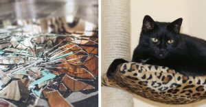 Leia mais sobre o artigo 10 Superstições estranhas e absurdas que muitas pessoas ainda acreditam