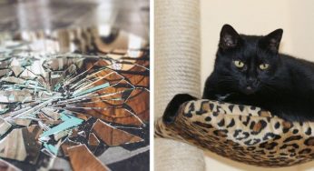 10 Superstições estranhas e absurdas que muitas pessoas ainda acreditam