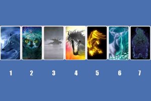 Leia mais sobre o artigo Escolha um animal espiritual e receba uma previsão para seu futuro!