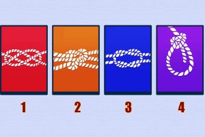 Leia mais sobre o artigo Qual nó é o mais forte? Não se deixe enganar!