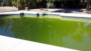 Leia mais sobre o artigo ▷ Sonhar Com Piscina Suja 【É Mau Presságio?】