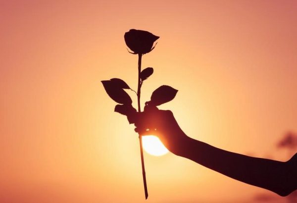 imagem de uma pessoa oferecendo uma flor em sinal de paz