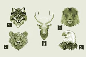 Leia mais sobre o artigo Teste: Descubra qual é a força motriz que comanda sua vida