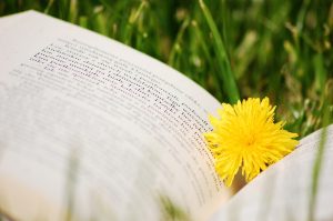 Leia mais sobre o artigo ▷ 60 Frases Sobre Ler – As Melhores
