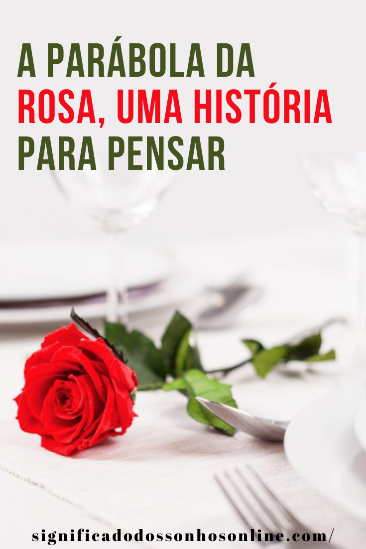 Reflexão do dia: A Parábola da Rosa, uma história para pensar