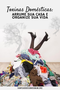 Leia mais sobre o artigo Toxinas domésticas: Arrume sua casa e organize sua vida