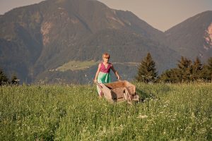 Leia mais sobre o artigo Sonhar Empurrando Um Carrinho De Mão / Carriola