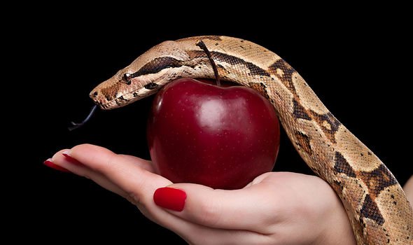 mão segurando uma maçã e uma cobra