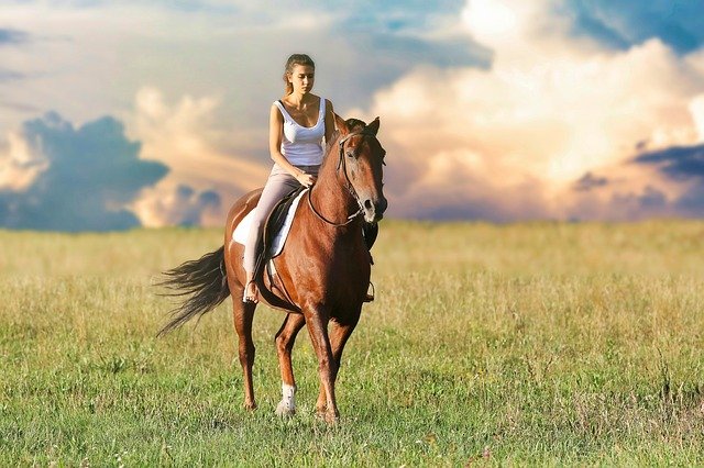 Sonhar com cavalo preto - O que significa? Respostas, aqui!