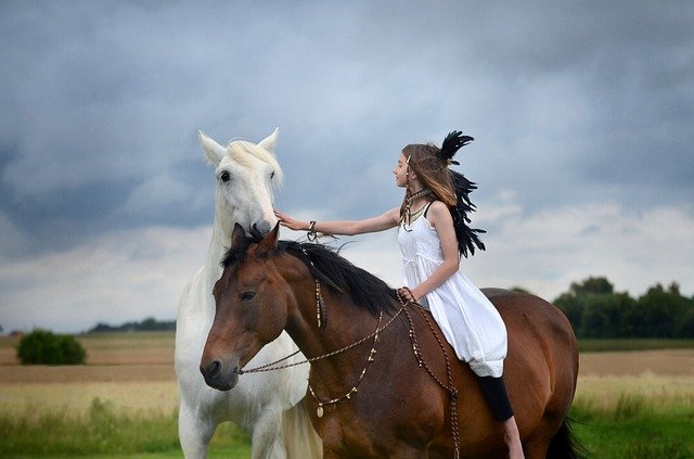 cavalo branco e marrom com pessoa cavalgando