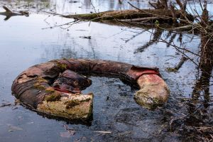 Leia mais sobre o artigo Sonhar Com Água Suja No Mundo Espiritual