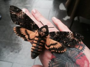 Leia mais sobre o artigo Mariposa da Morte – Significado Espiritual